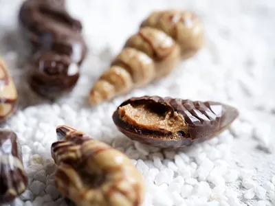PatisFrance Praliné Collection Noisette IGP Piémont 62%