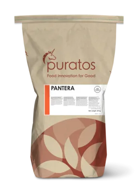 Pantera