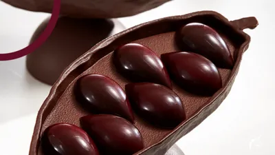 Rooibos Rode Vruchten Bonbon