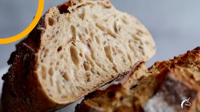 Brood met gekiemde granen
